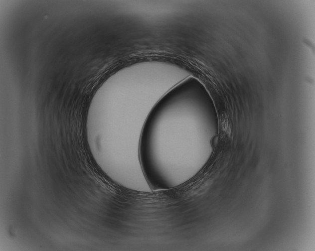 X0000091911252200709051204