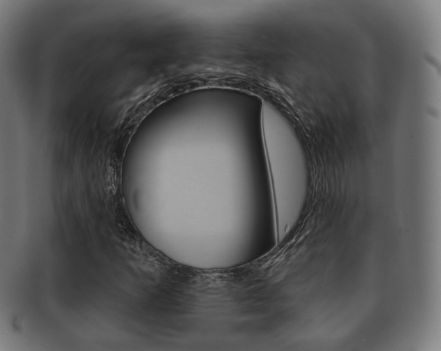 X0000091911253200709051204