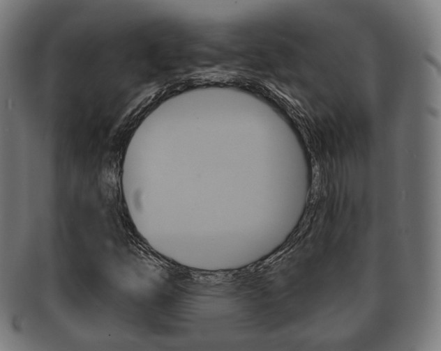 X0000091911254200709051204