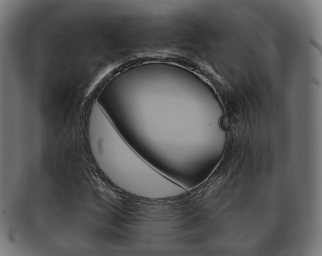 X0000091911256200709051204