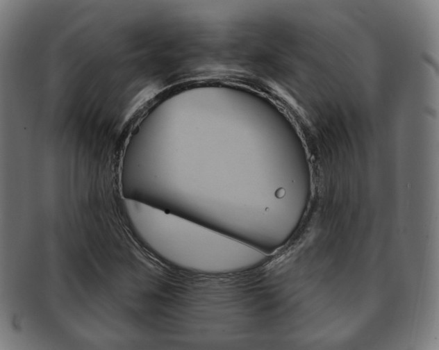 X0000091911259200709051204