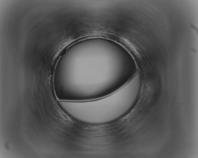 X0000091911260200709051204