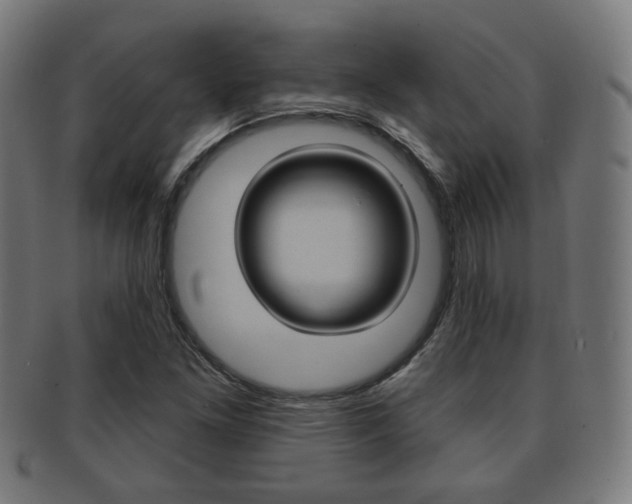 X0000091911261200709051204
