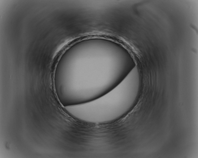 X0000091911262200709051204