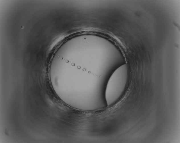 X0000091911263200709051204