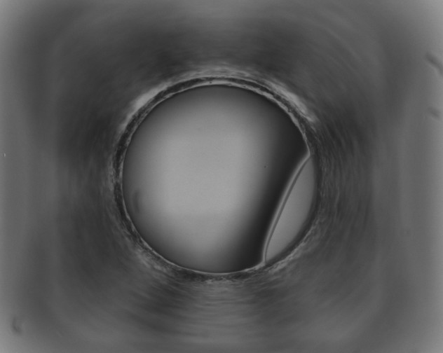 X0000091911264200709051204