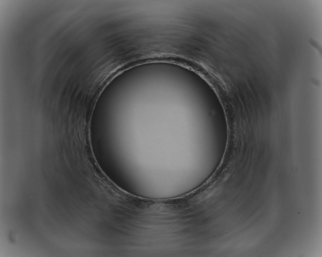 X0000091911265200709051204