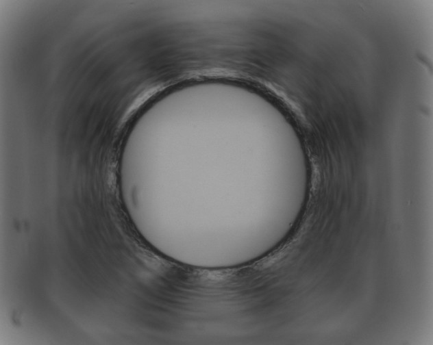X0000091911266200709051204