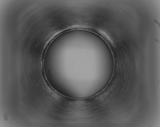 X0000091911268200709051204