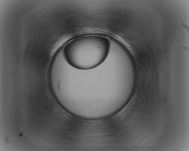 X0000091911269200709051204