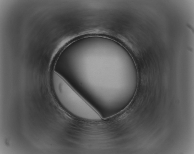 X0000091911270200709051204