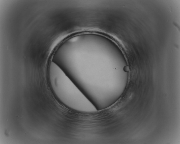 X0000091911271200709051204
