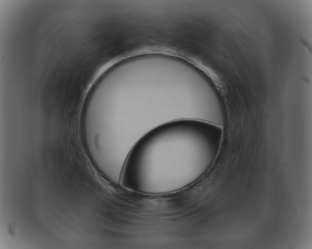 X0000091911272200709051204