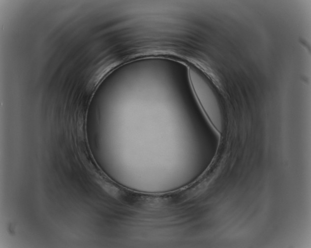 X0000091911273200709051204