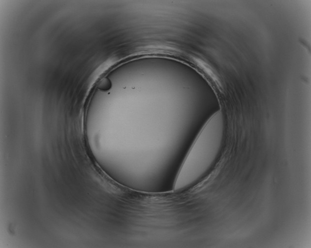 X0000091911275200709051204