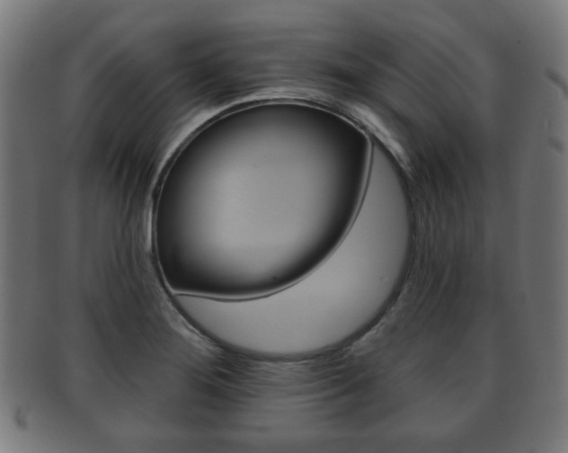 X0000091911276200709051204