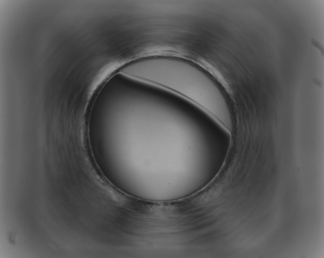 X0000091911277200709051204
