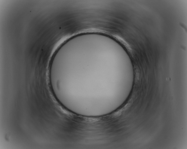 X0000091911278200709051204