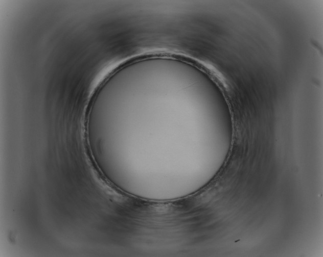 X0000091911279200709051204