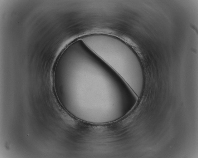 X0000091911280200709051204