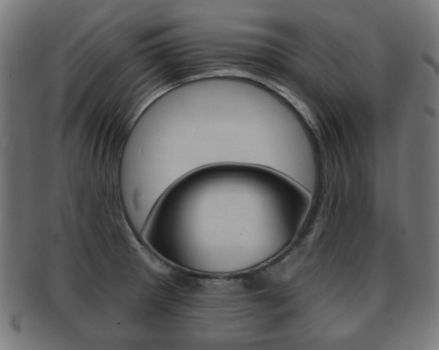 X0000091911281200709051204
