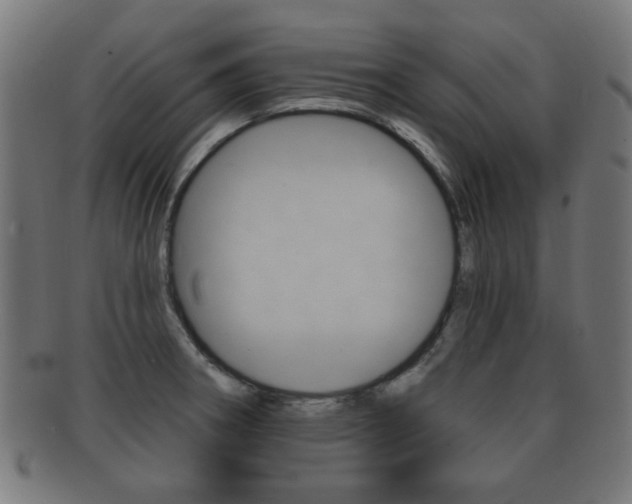 X0000091911282200709051204