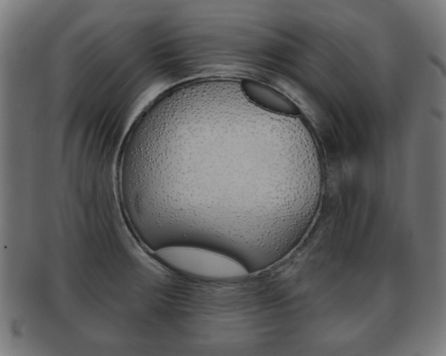 X0000091911283200709051204