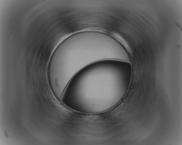 X0000091911284200709051204