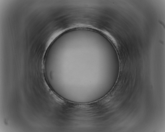 X0000091911287200709051204