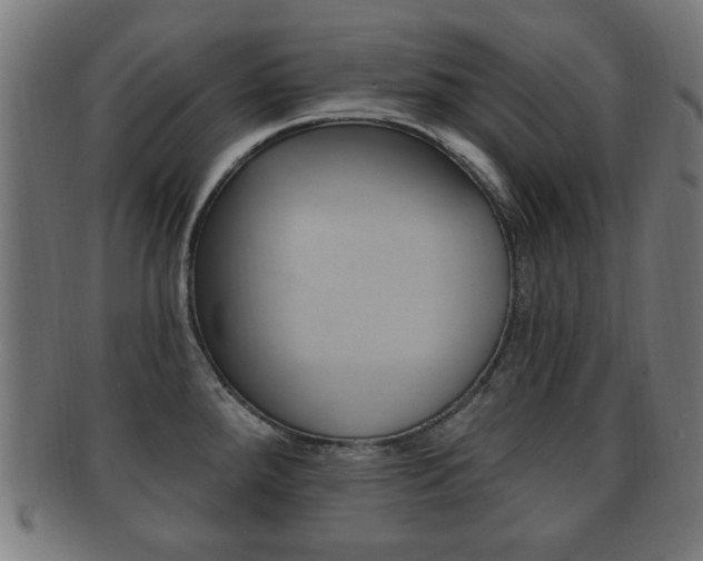 X0000091911288200709051204