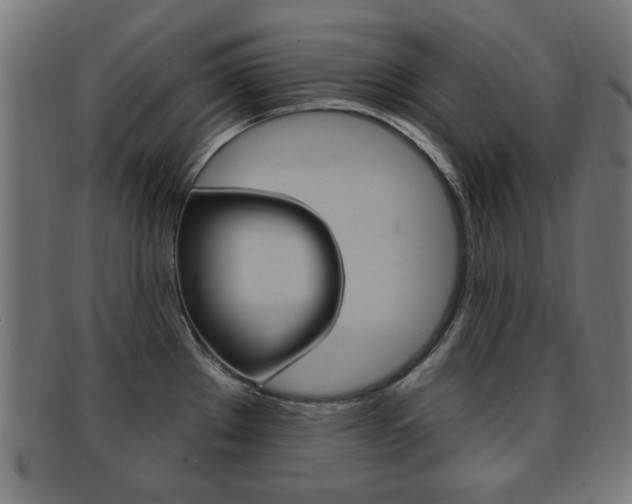 X0000091911289200709051204