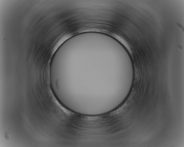 X0000091911290200709051204