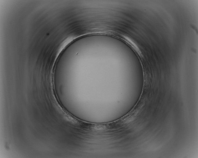 X0000091911291200709051204
