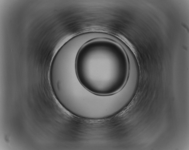 X0000091911293200709051204