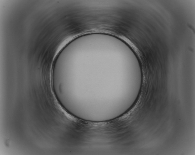 X0000091911294200709051204