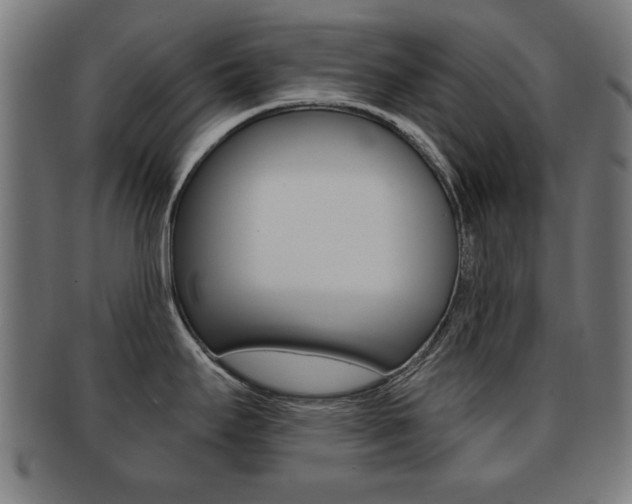 X0000091911295200709051204