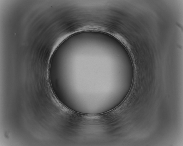 X0000091911296200709051204