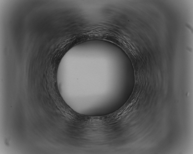 X0000091911297200709051203