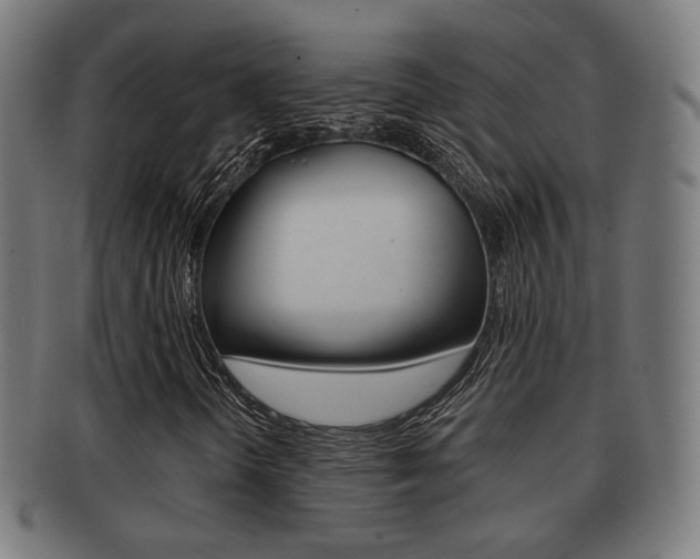 X0000091911298200709051203