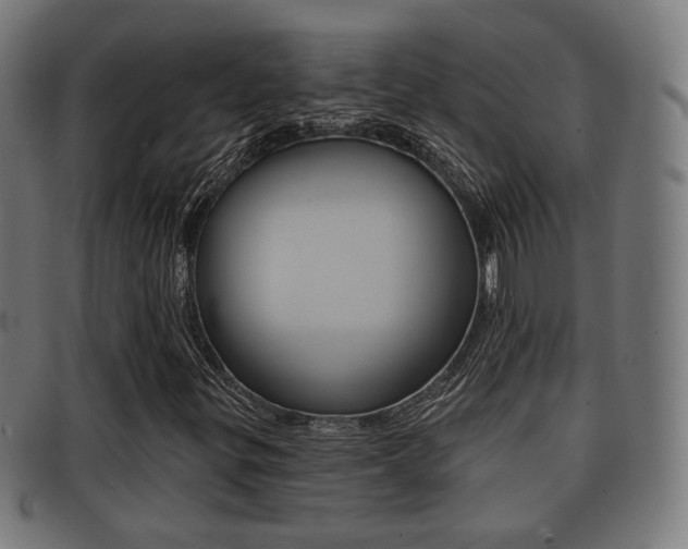 X0000091911299200709051203
