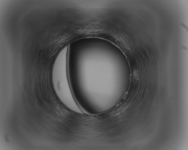 X0000091911300200709051203