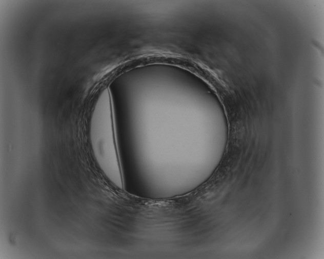 X0000091911303200709051203