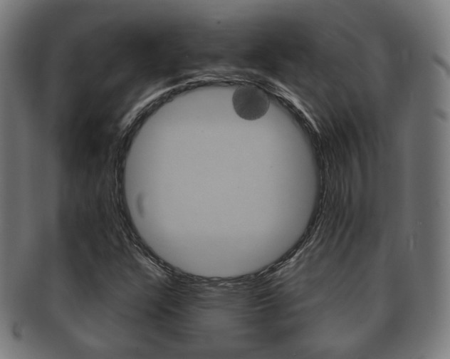 X0000091911304200709051203