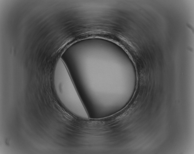X0000091911305200709051203