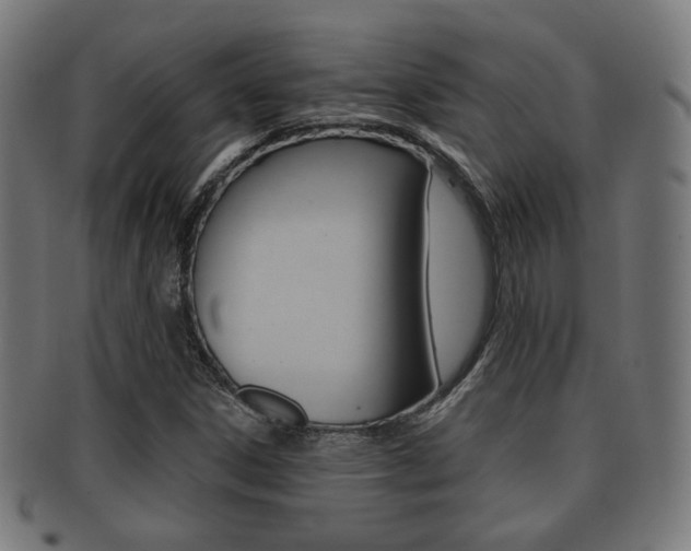 X0000091911306200709051203