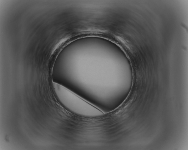 X0000091911307200709051203