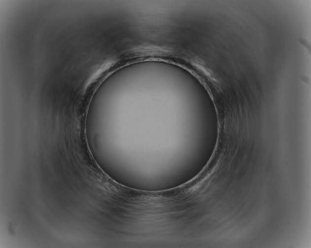 X0000091911309200709051203
