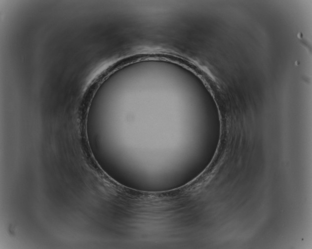 X0000091911311200709051203