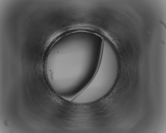 X0000091911312200709051203