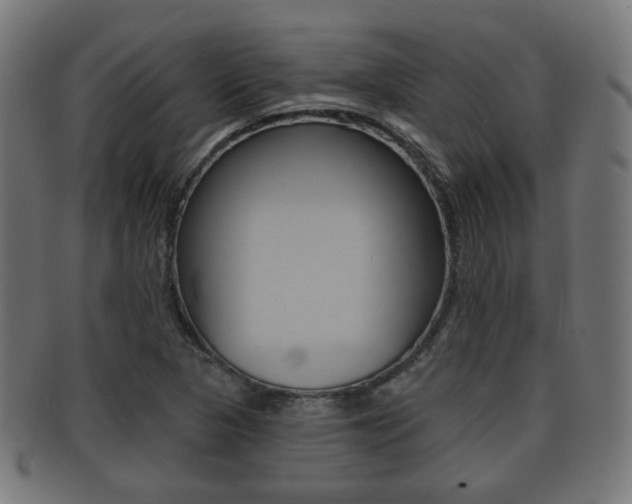 X0000091911313200709051203